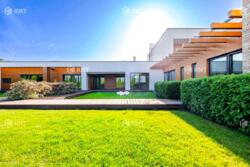 ������� ���� 7