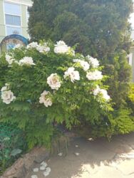 Новые дома.Продам 2 дома с участком 20 соток. фото 3 Новые дома.Продам 2 дома с участком 20 соток. фото 3