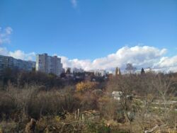 Продам Дачи и Участки Павлово Поле пр. Науки 65 фото 8 Продам Дачи и Участки Павлово Поле пр. Науки 65 фото 8