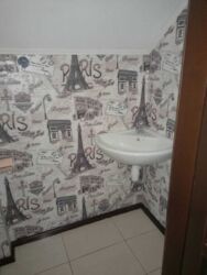 ������ ��� �� ���������� ���� 19