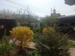 Продам дом Павлово Поле пр. Науки 65 + солнечная электростанция фото 8 Продам дом Павлово Поле пр. Науки 65 + солнечная электростанция фото 8