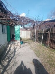 ��������� ������� �������� ��., �����, ���������, ��������������, �. ������� ���� ���� 8