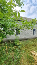 ��������� �������� ������� ����� ������ ���� 1