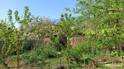 будинок Залютино м.Холод. гора, центральні комунікації 102 м2 фото 6 будинок Залютино м.Холод. гора, центральні комунікації 102 м2 фото 6