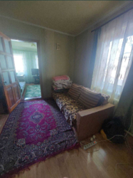 ��������� ������� ���������� ��., �����, ���������, ��������������, �������, �. ������� ���� ���� 8