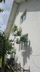 ������ ���������� ������� 15 �� ������� ���� ��� ������� ���� 5