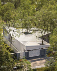 ˳������ (��������), �� ������ ���� 11