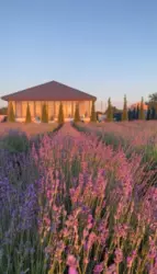 ������ ��� ������� ��������� ���� 14