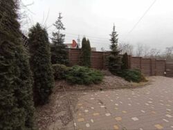Флоринка фото 17 Флоринка фото 17