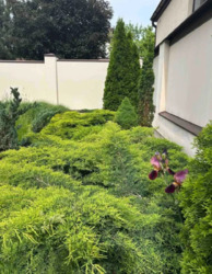 Шикарный ДОМ, на Павловом поле, м.23 Августа за с/м Класс фото 3 Шикарный ДОМ, на Павловом поле, м.23 Августа за с/м Класс фото 3