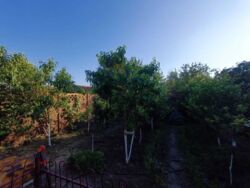 ��������� ������� ���������, �����, ���������� (�����������), �. �������� ���������� ���� 14