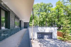 ˳������ (��������), �� ������ ���� 5