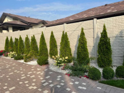 ������ ��� 165 ��.�., ����� ������� ���� 11