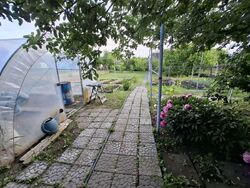 ��������� ������� ������, ����������, ��������� ���� 17