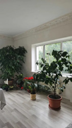 ������ ���������� ������� 15 �� ������� ���� ��� ������� ���� 9