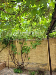 ��������� ������� ���������, �����, ��������������, ��������, �. ������� ���� ���� 20