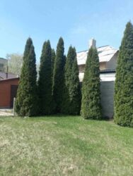 ������ ��� �� ���������� ���� 2