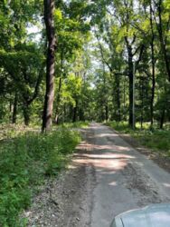 �������� 140 �2 ���� 5