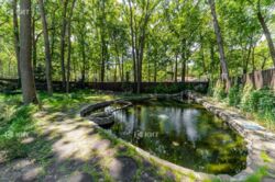 �-� ˳������, �� ������ ���� 9