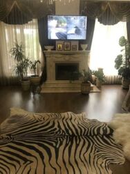 ��������� ������� ���������� ��., �����, ���������, ��������������, �������� ����, �. ������� ���� ���� 2