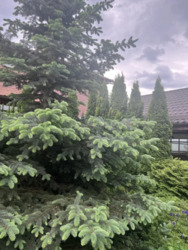 ������ ������� ����� �������� ���� 2