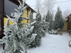 ��� � ��������/ �������/ �������� ���� ���� 10