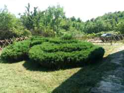 � ������� ��������� ������� � ������������� ����� � ������� ������������ ������ ������������ �������������� �������� ����� ���� 8