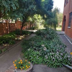 ��������� ������� ���� ��������, �������������, ��������� ���� 11