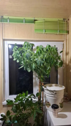 Продам дом метро 23 августа 5 минут пешком! Павлово Поле. фото 9 Продам дом метро 23 августа 5 минут пешком! Павлово Поле. фото 9