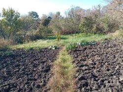 ������ ��� ��� ������� ������. ���� 9