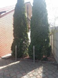 ������ ��� �� ���������� ���� 3