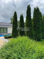 � ������� ���������� ������� � ������� ���������� ������� ��������. ���� 2