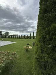 ������ ��� ������� ��������� ���� 12