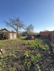 ������� ������ ���� � �������� ����� �������� ��.�������� 50 ���� 5