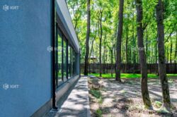 ˳������ (��������), �� ������ ���� 11