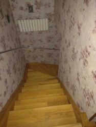 ������ ��� �� ���������� ���� 14