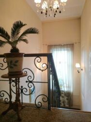 ������ ��� �. ������������ ���� 19