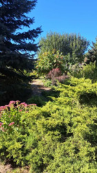 ������ ������� � �.˳��� �������������� ������ ���� 3