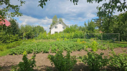 ������ ���������� ������� 15 �� ������� ���� ��� ������� ���� 3