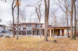 Лісопарк (Лесопарк), КМ Форест фото 1 Лісопарк (Лесопарк), КМ Форест фото 1