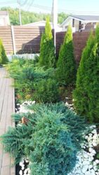 ��������� ������� ���� ��������, �������������, ��������� ���� 6