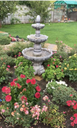 ������ ���������� ���, 10 �� �� ��������, ���������� + ���� 20