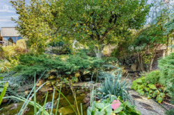 ������� � ��������,��������, ����� �������� ( ���������� ) ���� 24