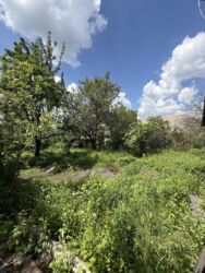 ������ ������������� ������� � ���� ��������. ���� 12