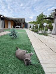 У продажу домоволодіння у Люботині фото 3 У продажу домоволодіння у Люботині фото 3