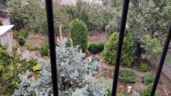 ������ ������� 189 �� � � ������ ���� ����. ���� 15