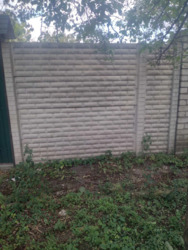 ������ ������� �� ��� ���� 14