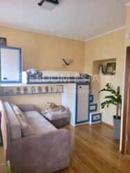 ��������� ������� ���������, �����, ��������������, ��������, �. ������� ���� ���� 12