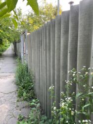 ������ 1/2 ���� � 2-�� �����. ���� 7