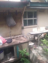 ������ ������� �� ��� ���� 12